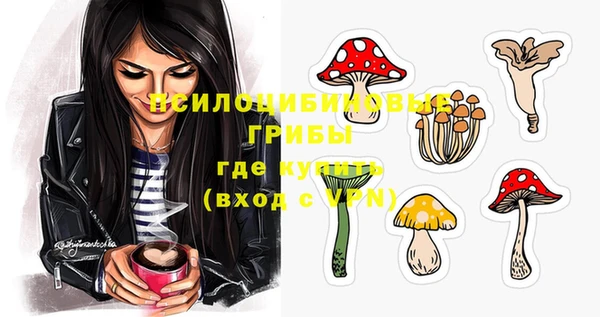 ПСИЛОЦИБИНОВЫЕ ГРИБЫ Медвежьегорск