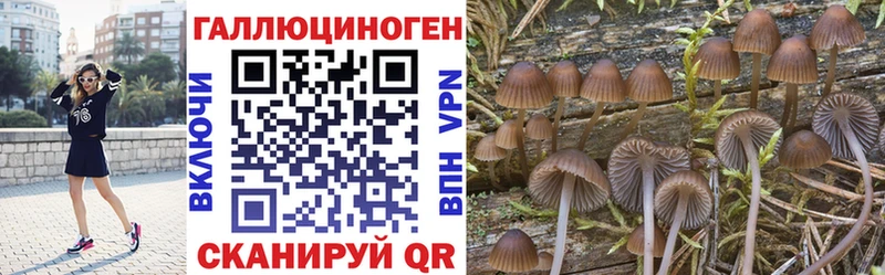 Псилоцибиновые грибы Magic Shrooms  Ковдор 